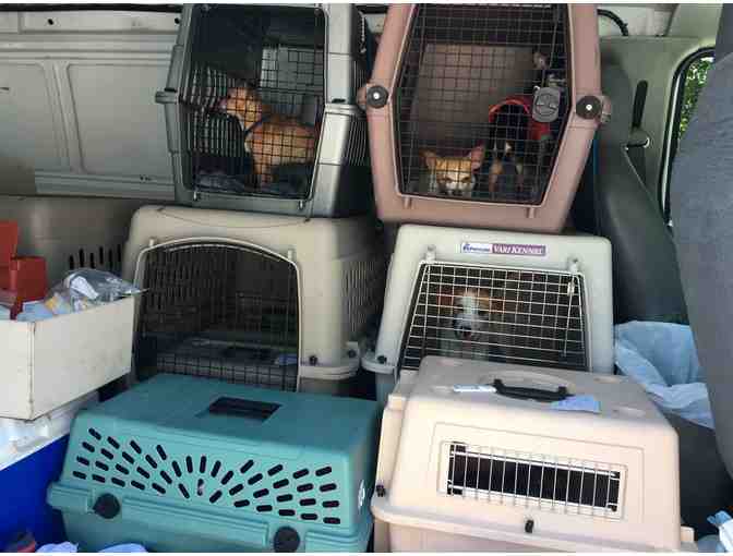 Gas for our Rescue Van