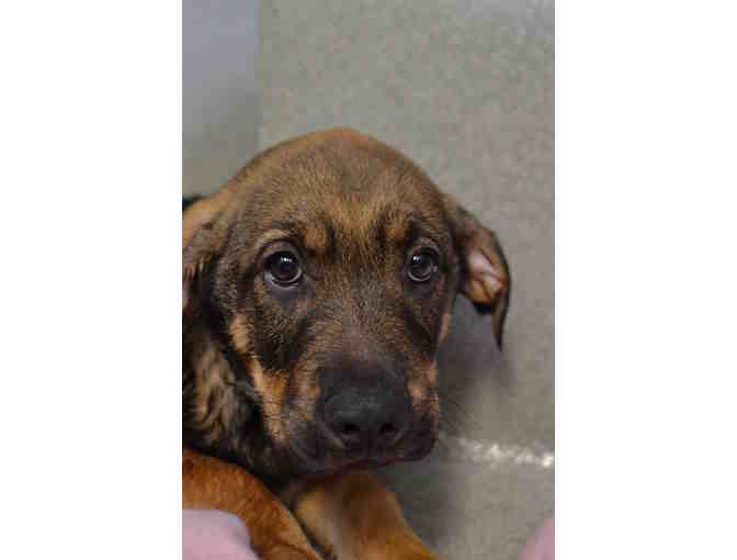 Keep Us Healthy & Safe!