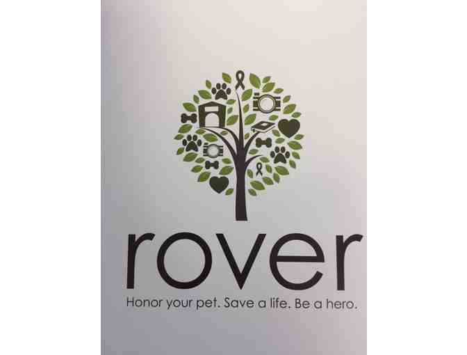 Rover: Barkington Edition Book