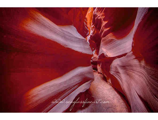 12' Limited Edition Fine Art Print by Award-Winning Artist Thomas Fallon - Your Choice!