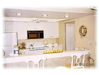 Fun in the Sun on Sanibel Island