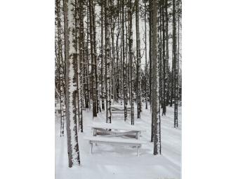 Photograph on Canvas - Winter's Day by Kirk Williamson