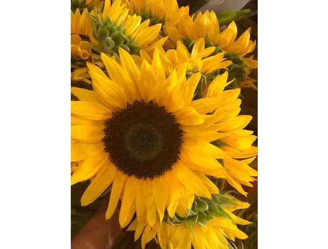 $25 Gift Certificate to Gordon Florist and Greenhouses