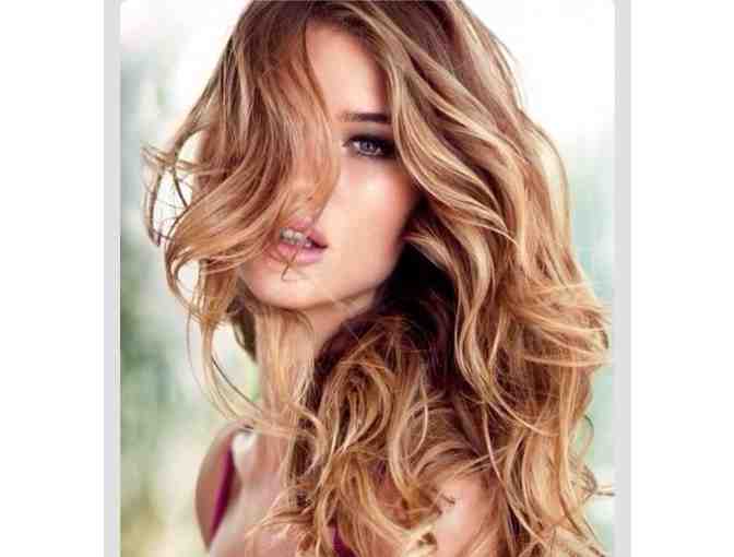$25 Gift Certificate towards Cut and Blow Dry at West End Salon