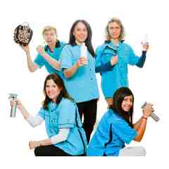 NitWits Intelligent Lice Removal