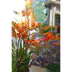 Audrey's Flower Shop