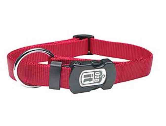 Enjoy Your Walks with The Weiss Walkie