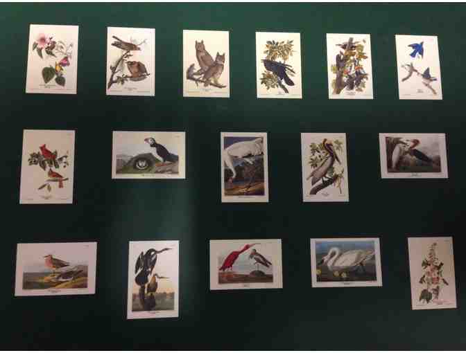 The Art of Audubon II