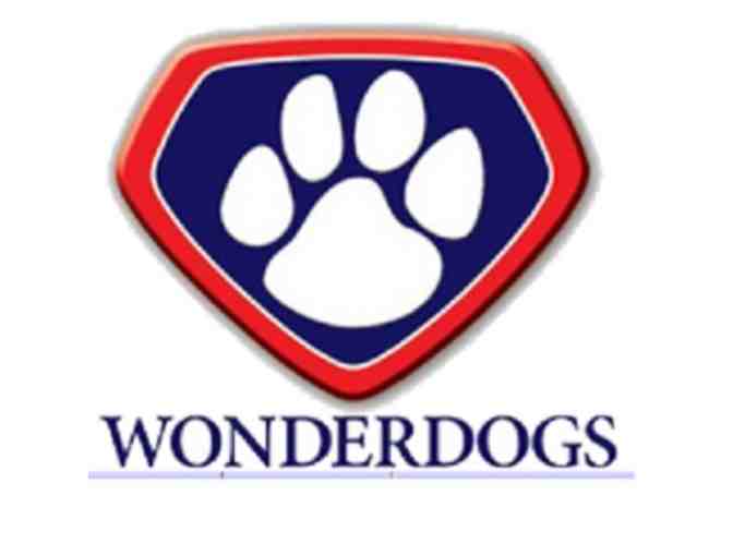 $100 WonderDogs Gift Certificate - Photo 1