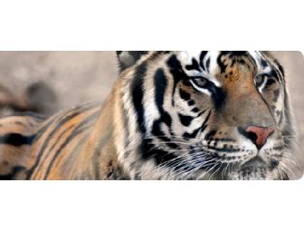 Four guest passes to the Austin Zoo and Animal Sanctuary