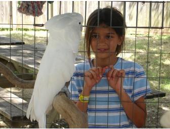 Four guest passes to the Austin Zoo and Animal Sanctuary