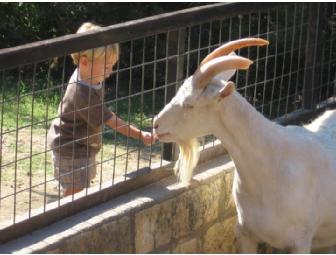 Four guest passes to the Austin Zoo and Animal Sanctuary