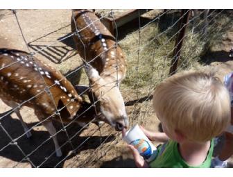 Four guest passes to the Austin Zoo and Animal Sanctuary