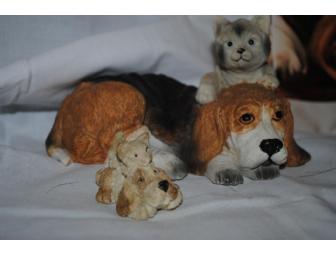 Bassets & Cat Package