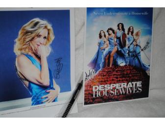 Desperate Housewives Memorabilia & DVD Season 5