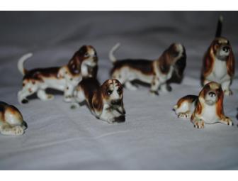 A Dozen Bassets
