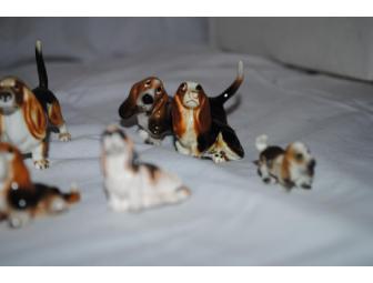 A Dozen Bassets