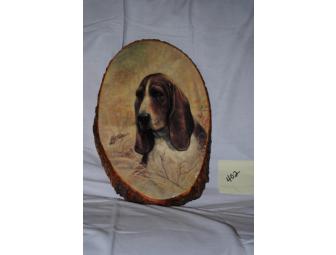 Basset Hound & the Hare