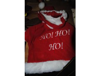 HOWLiday Costumes for the Little Pup