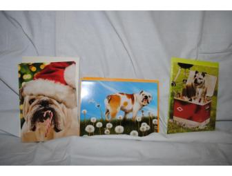 BULLDOG Greeting Cards