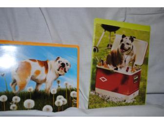 BULLDOG Greeting Cards
