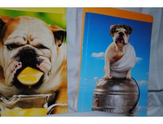 BULLDOG Greeting Cards