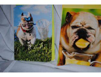 BULLDOG Greeting Cards