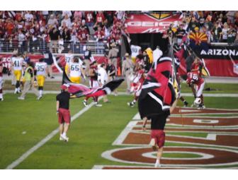 Arizona Cardinals Football Game Tickets