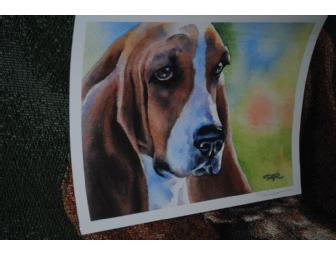 Basset Hound Art by David J. Rogers