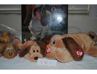 Basset Hound Baby Package