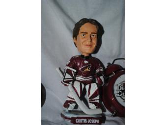 Coyotes Hockey Package