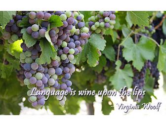 Wine Tasting at Bacchus in Kierland Commons