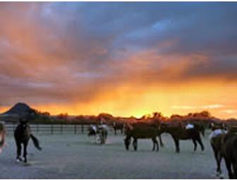 White Stallion Ranch, a Dude Ranch Getaway in Tucson, Arizona