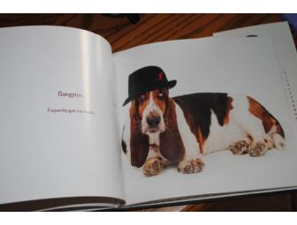 Autographed 'Bassets In Hats' Book