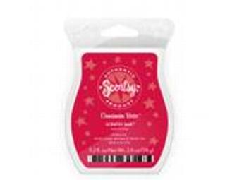 Scentsy 'Paws' warmer & scent bar