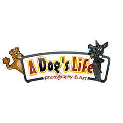 A Dog's Life Photography & Art