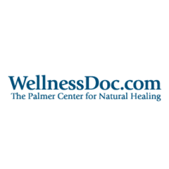 Palmer Center for Natural Healing