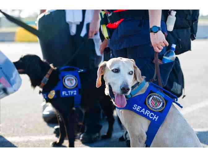 FEMA Search & Rescue Dog Experience
