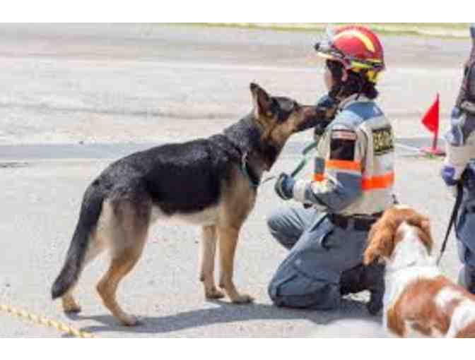 FEMA Search & Rescue Dog Experience