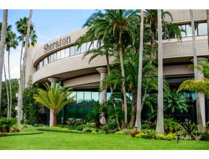One-night Stay at the Sheraton Tampa East
