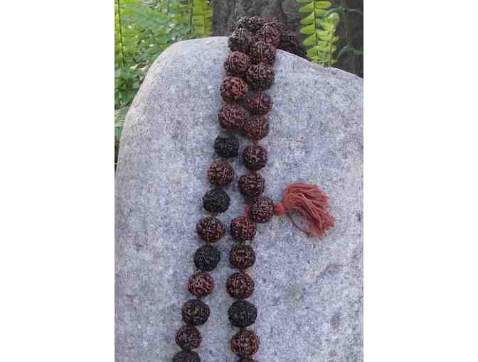 Sacred Rudraksha Mala (54 beads) Blessed in Haidakhan
