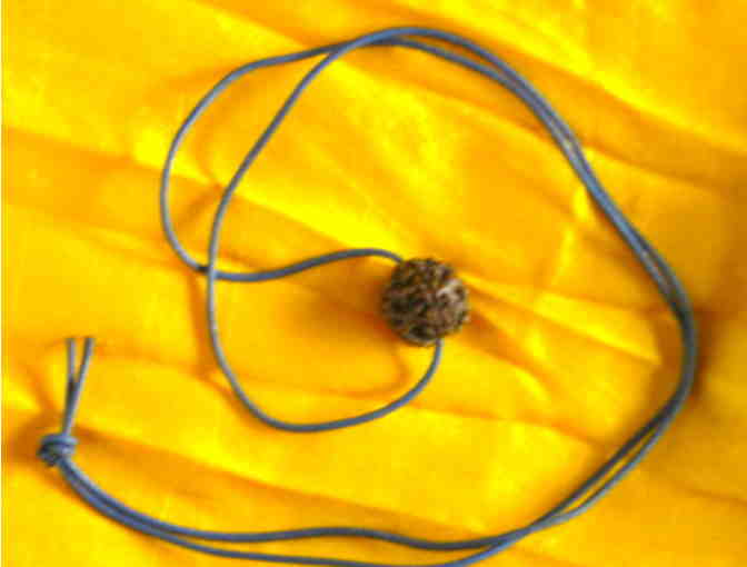 Rudraksha Bead from Babaji