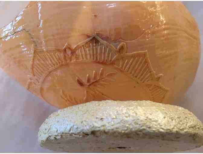 Handcrafted Unique Shell Dish