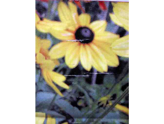 Welcome to Bethel banner - best condition