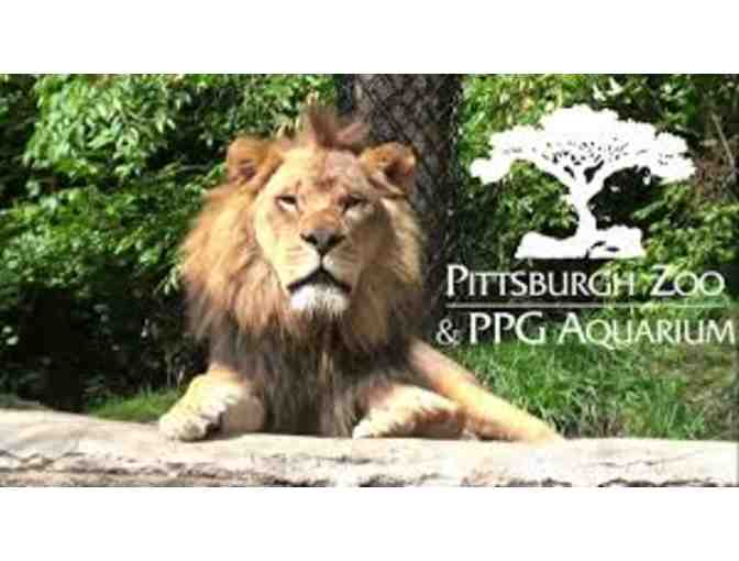2 Day Passes to The Pittsburgh Zoo & PPG Aquarium