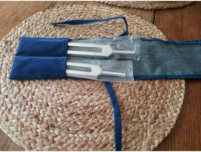Set of 2 tuning forks: C-256 and G-384 (w/travel pouch) - Photo 1