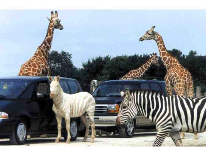 AFRICAN SAFARI WILDLIFE PARK - ONE (1) VIP CAR PASS FOR SIX PEOPLE