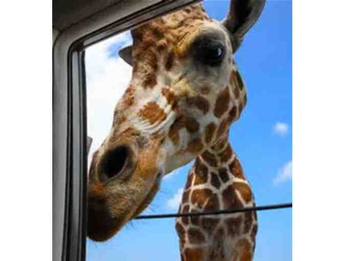 AFRICAN SAFARI WILDLIFE PARK - ONE (1) VIP CAR PASS ADMISSION FOR EIGHT PEOPLE