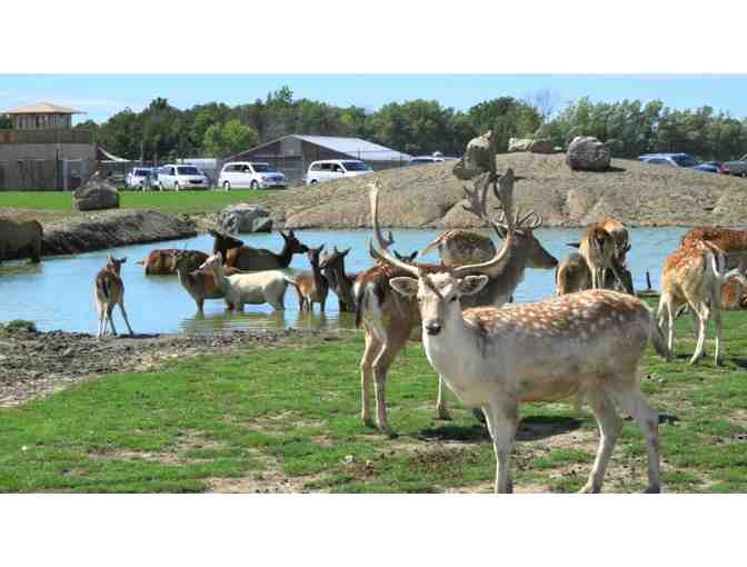 AFRICAN SAFARI WILDLIFE PARK - ONE (1) VIP CAR PASS ADMISSION FOR EIGHT PEOPLE