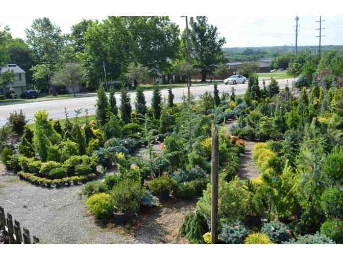 LAKEVIEW GARDEN CENTER & LANDSCAPING - $30 GIFT CARD